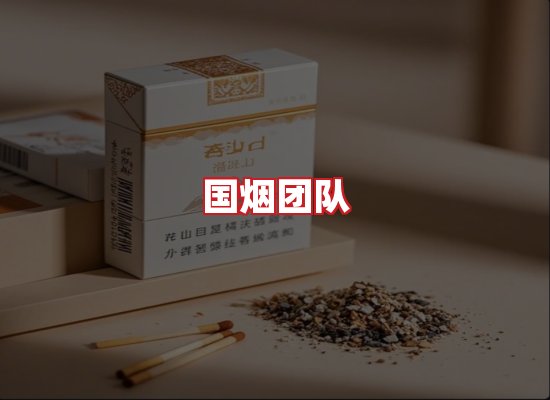 国烟团队